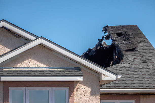 Top rated local Odor Removal specialists in Bristow, VA
